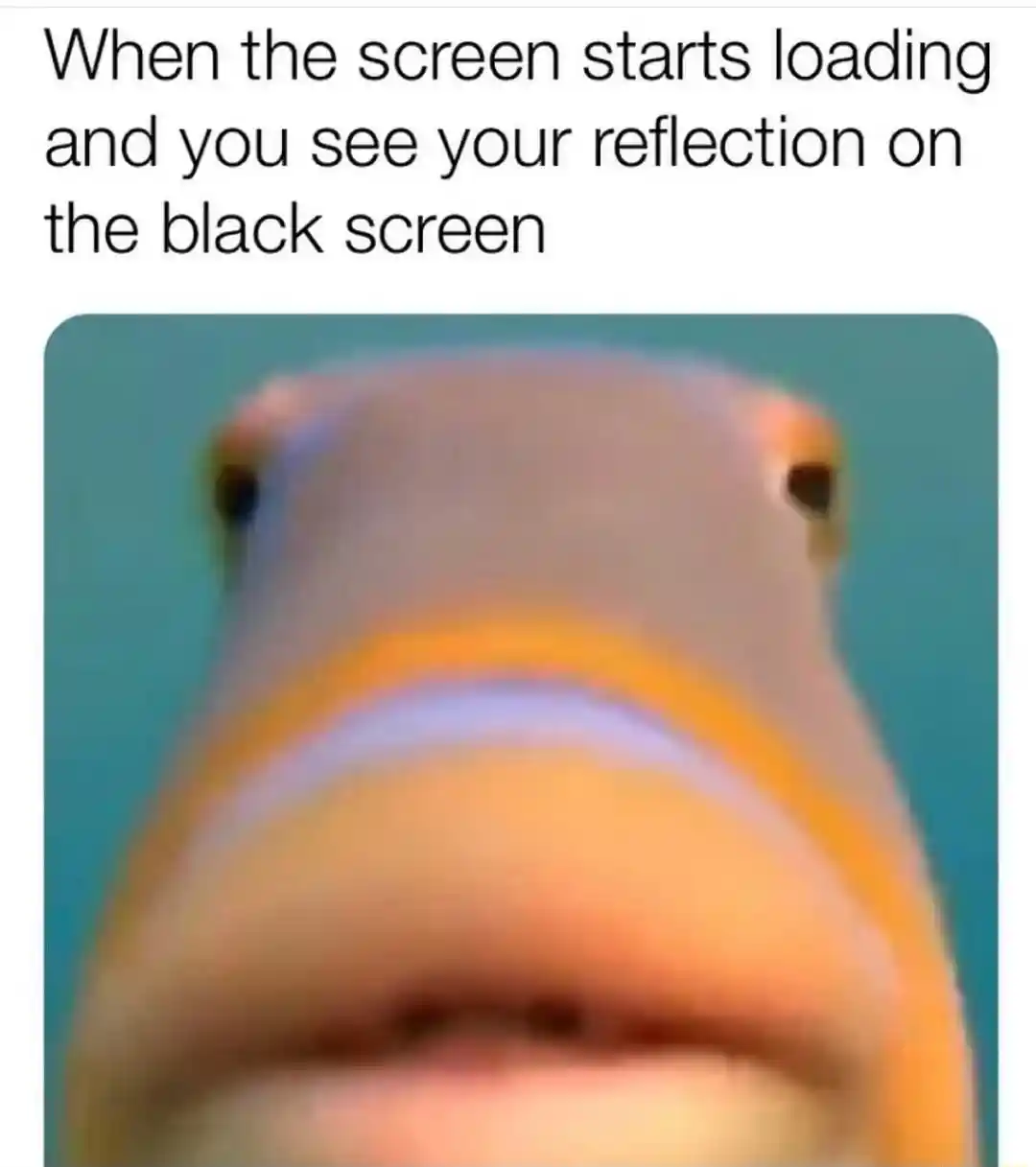 Staring fish meme see screen reflection