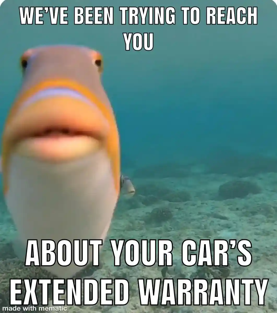 Staring fish meme car warranty spam call