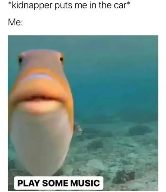 Staring fish meme asks kidnapper for car music