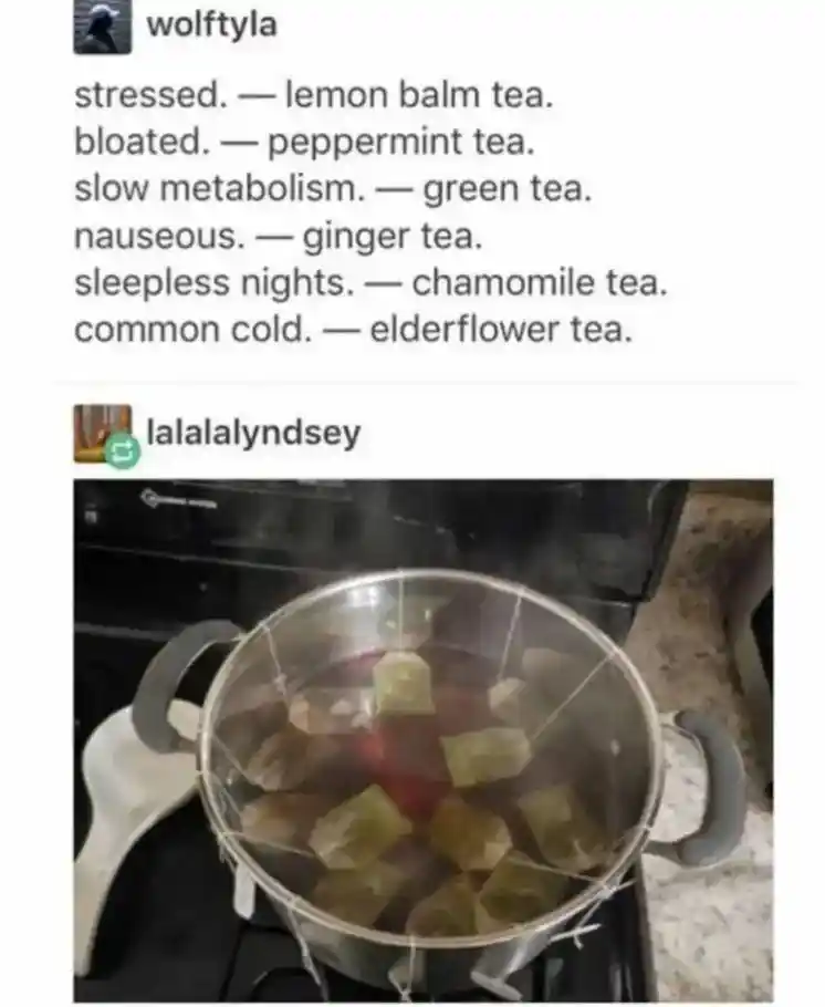 Herbal tea meme boiling all tea bags
