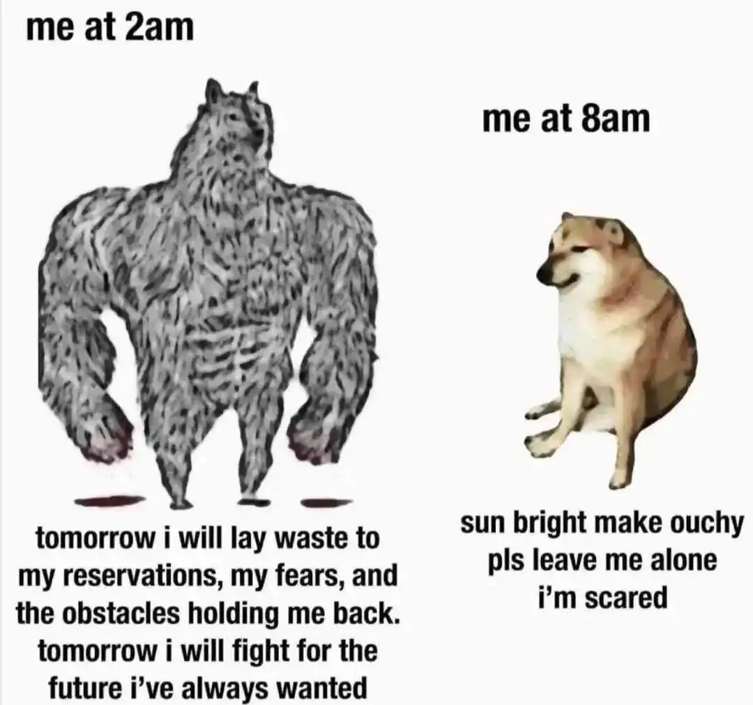 2am vs 8am self meme, funny vibe