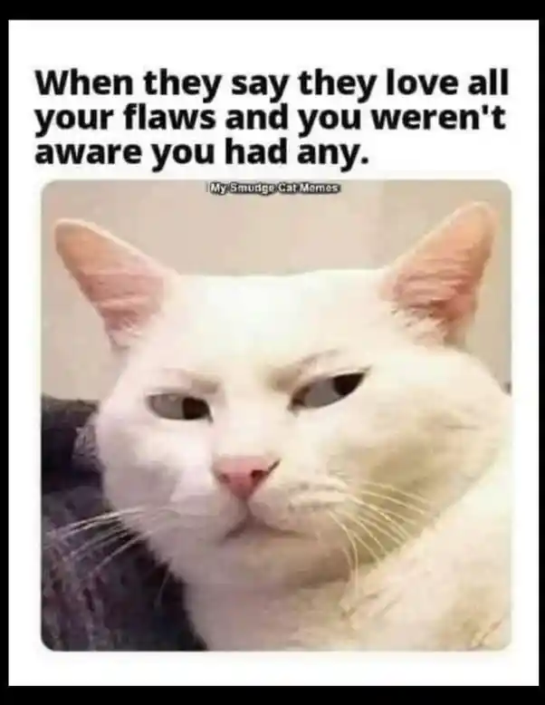 Skeptical white cat meme confused when people love all your flaws