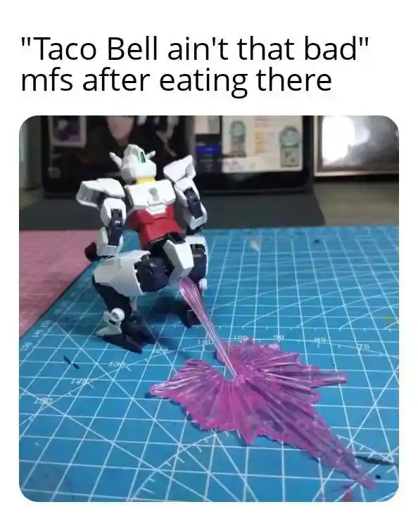 Taco bell meme pooping after eating