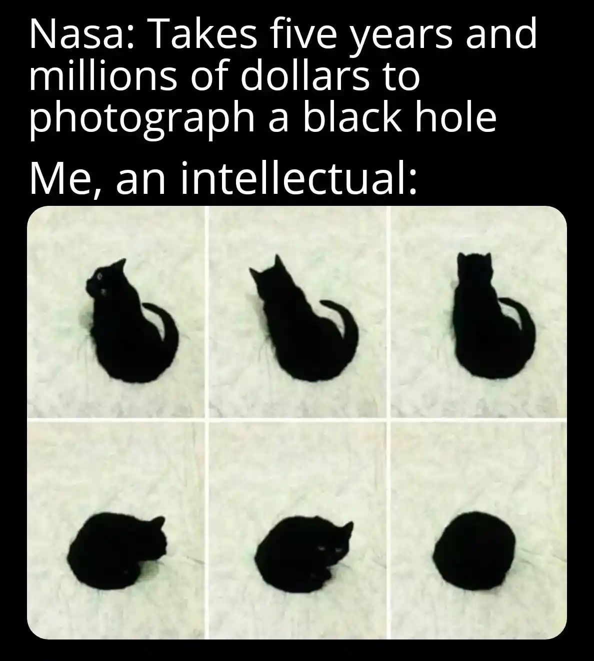 Black hole cat meme making fun of nasa