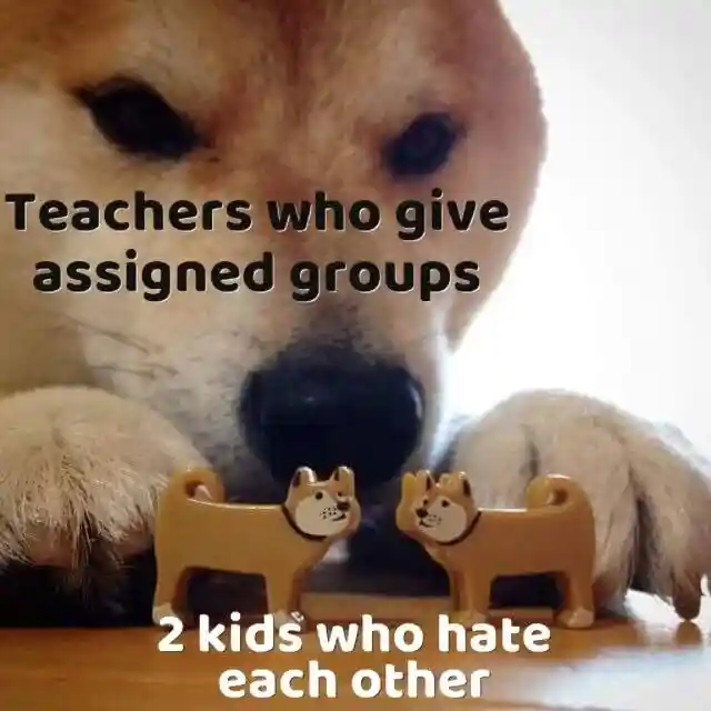 Teachers assign groups meme force two rival kids to pair