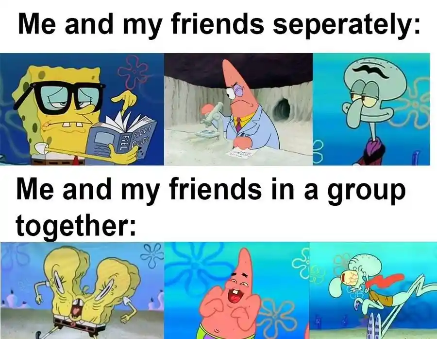 Me and friends meme shows opposite moods