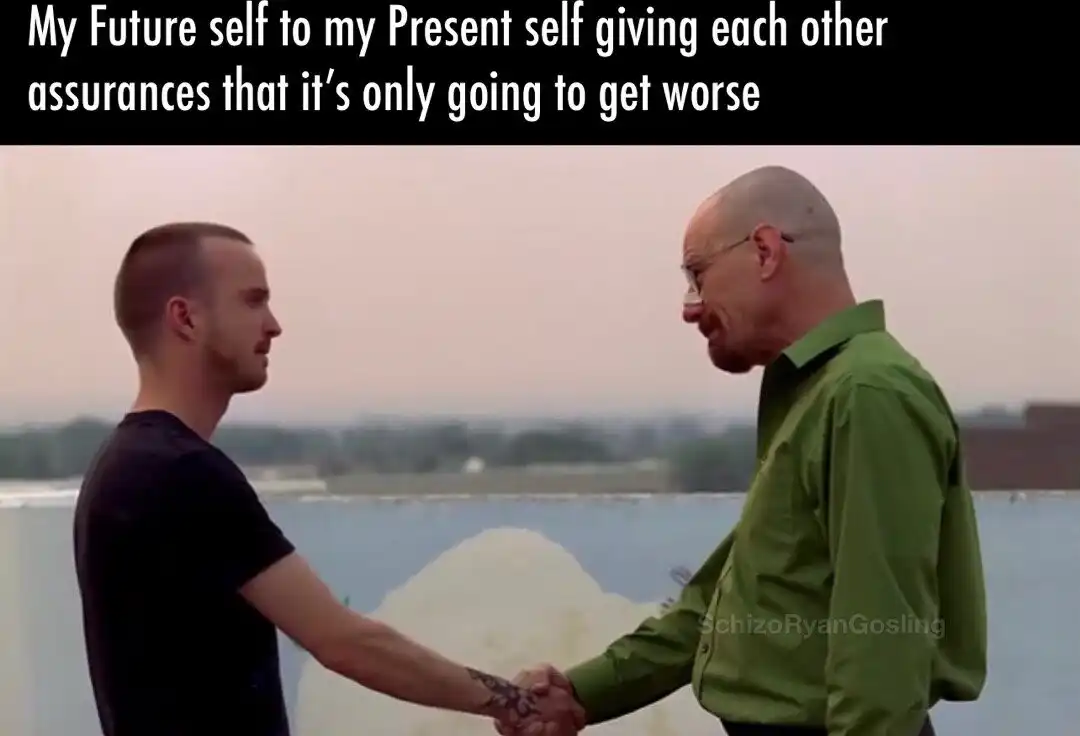 Future self handshake meme says it gets worse