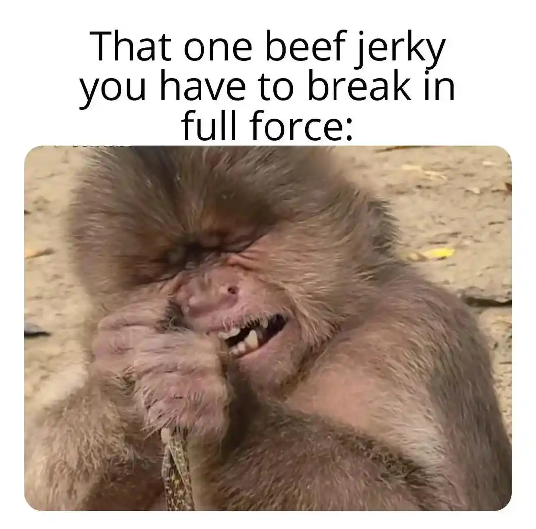 Hard beef jerky meme monkey straining to bite