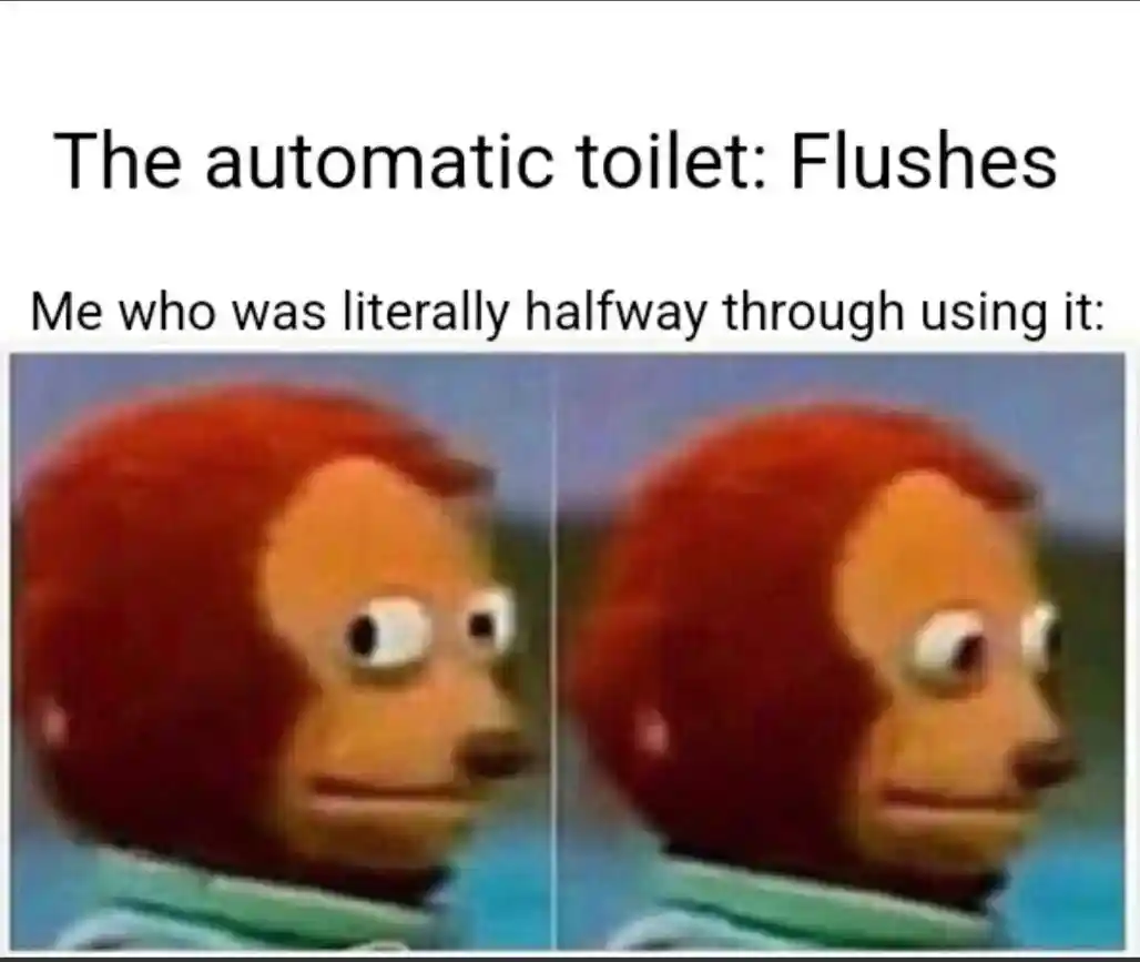 Auto toilet flushes mid use meme awkward shock