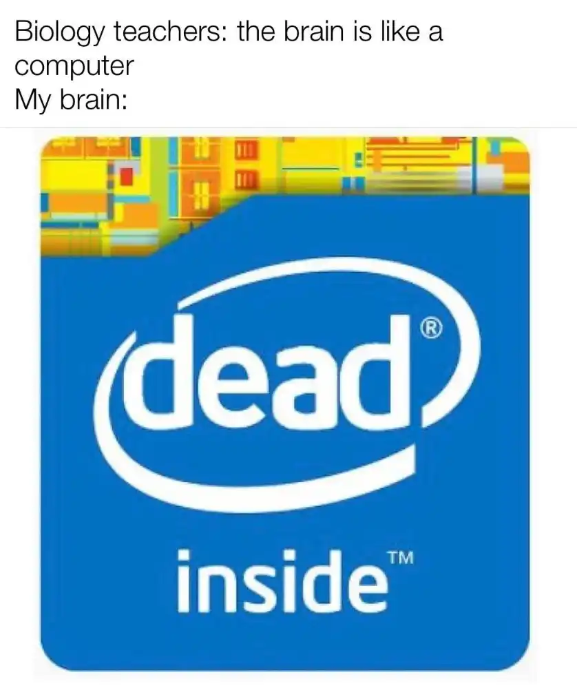 Biology Teacher Brain meme dead inside
