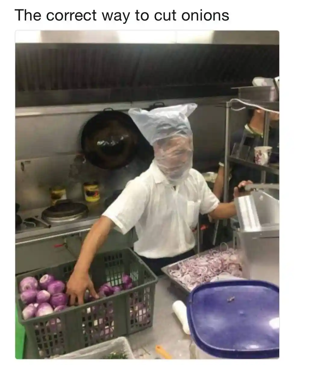 Cut onions meme chef wears plastic bag on head