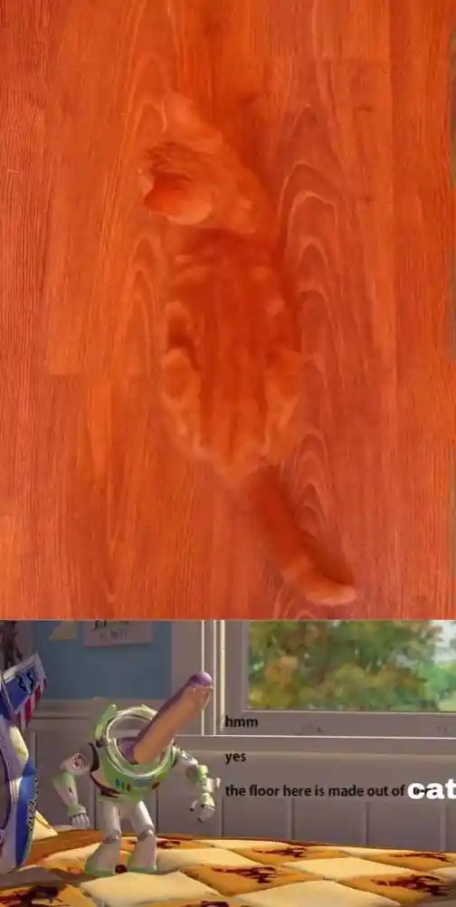 Hidden cat meme Buzz lightyear spots it