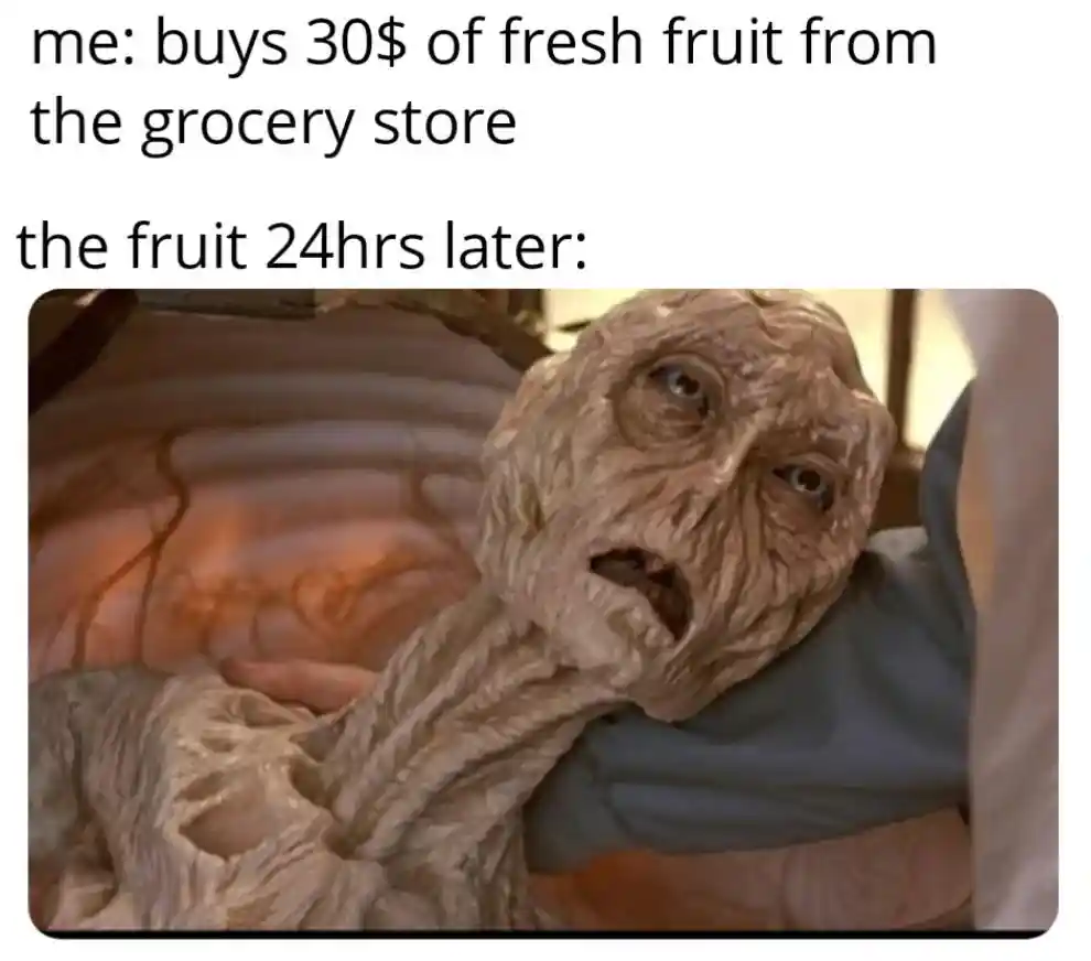 30$ Fresh fruit meme dries out 24h later