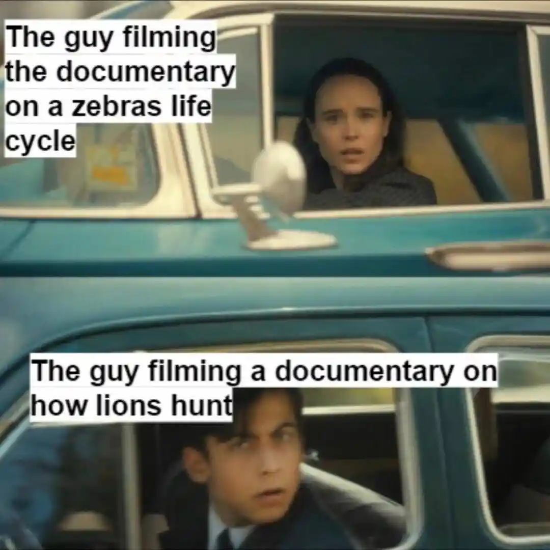 Wildlife documentary meme shocked in car