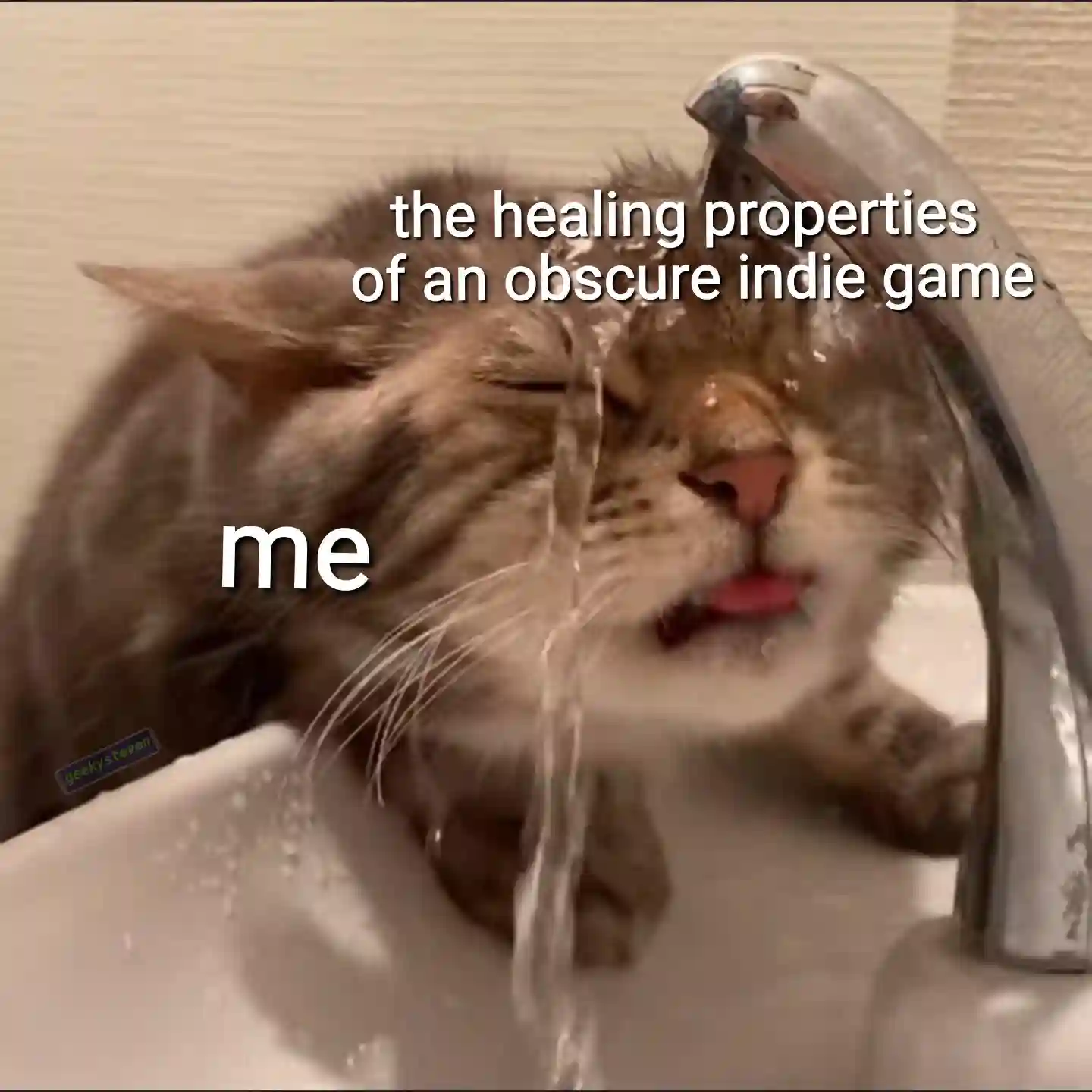 Obscure indie game meme me loving bliss