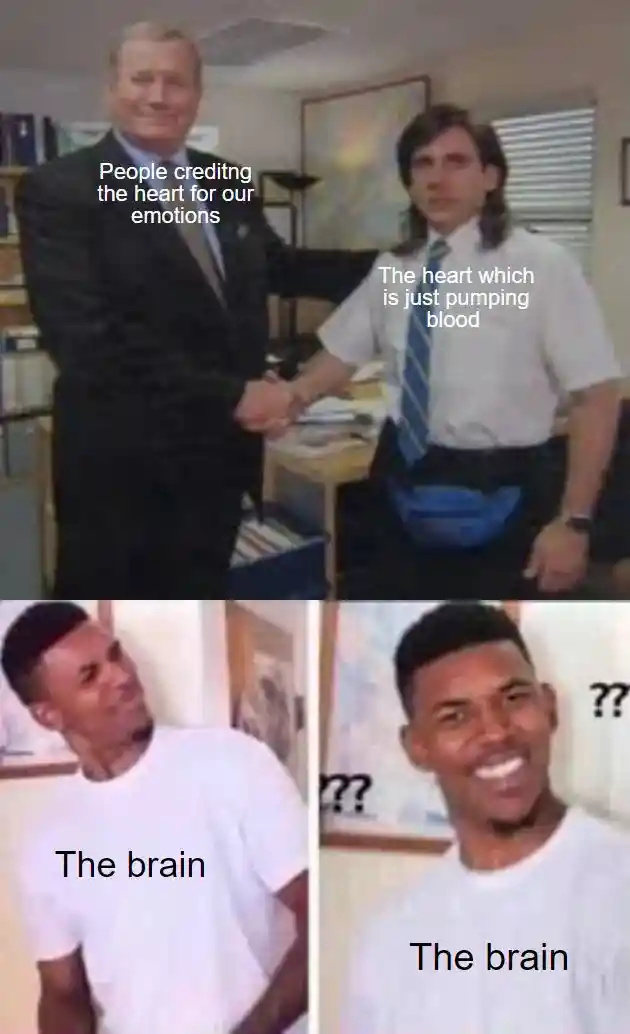 Heart emotion meme confused brain puzzled