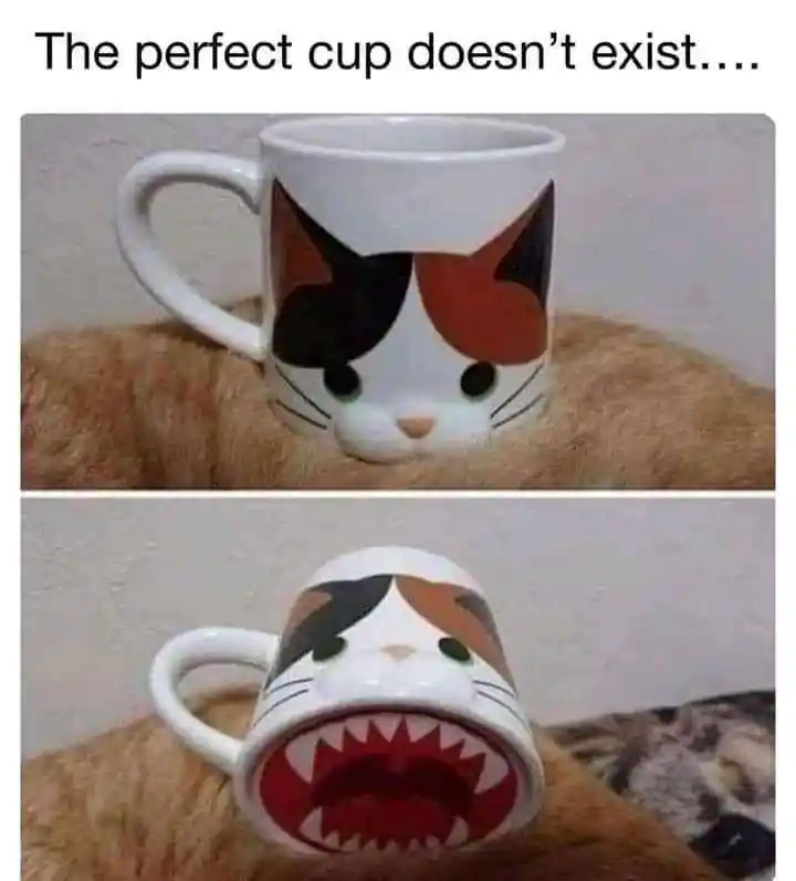 Cat mug meme reveals hidden sharp shark mouth