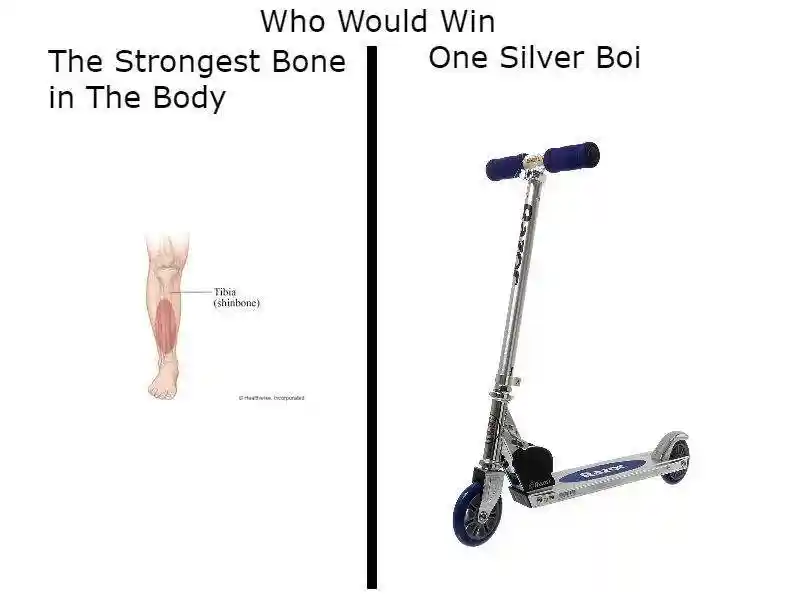 Shinbone vs silver scooter meme who wins