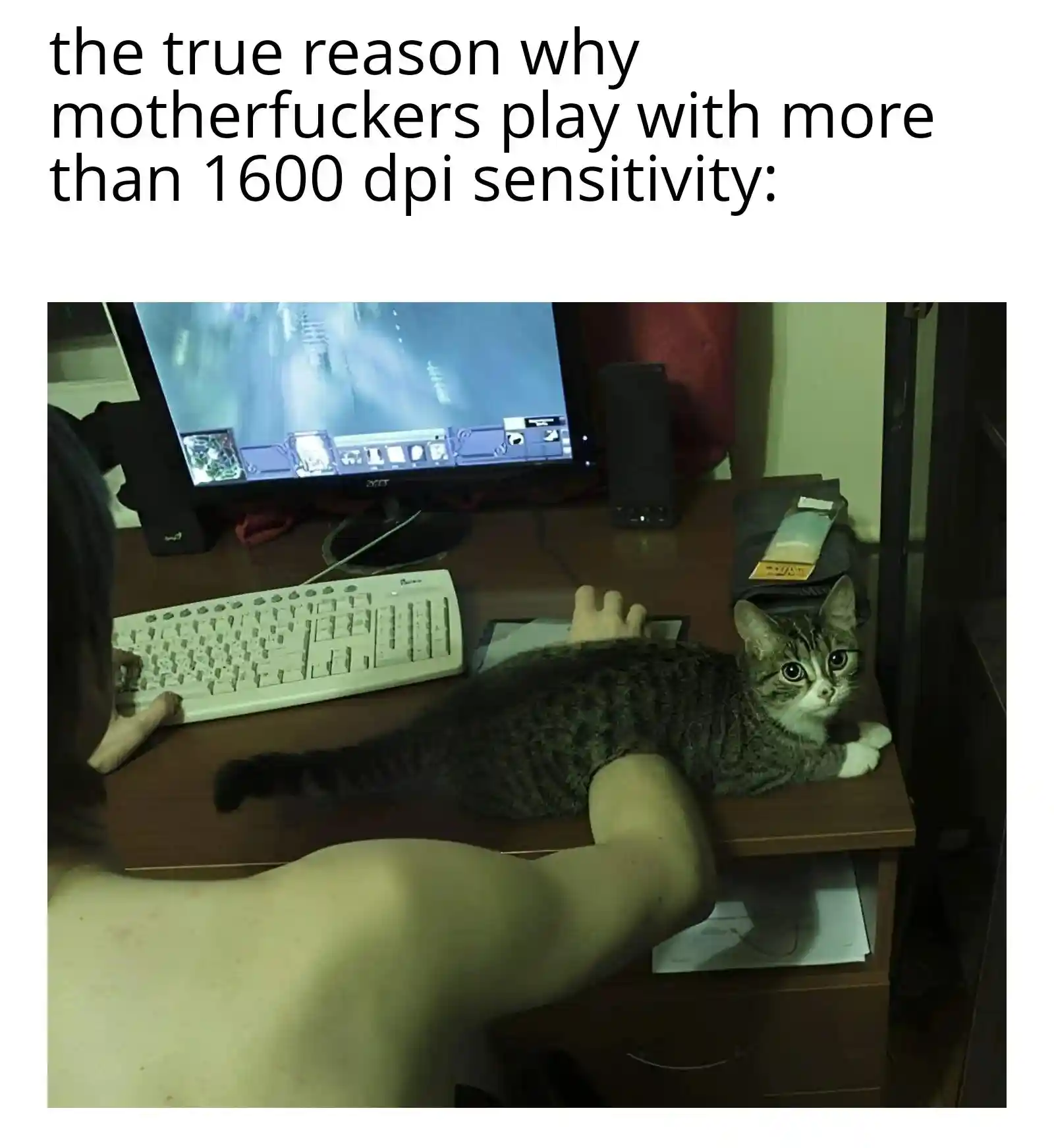 Gaming cat meme gamer uses high dpi
