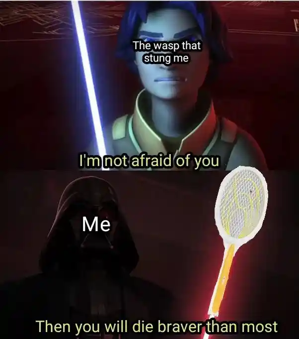 Wasp stung me meme holding fly swatter to fight