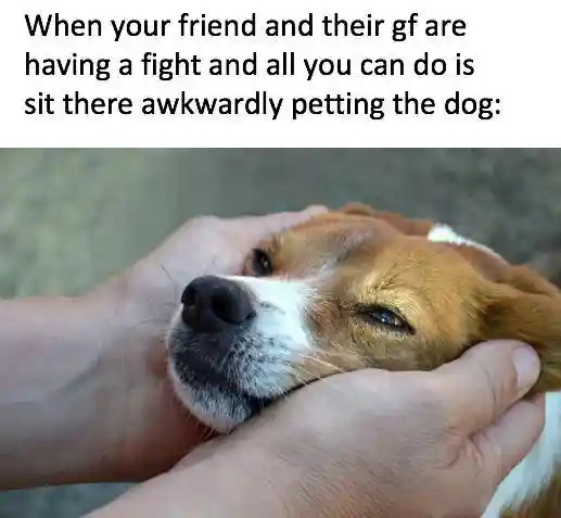 Couple fight meme awkwardly petting dog