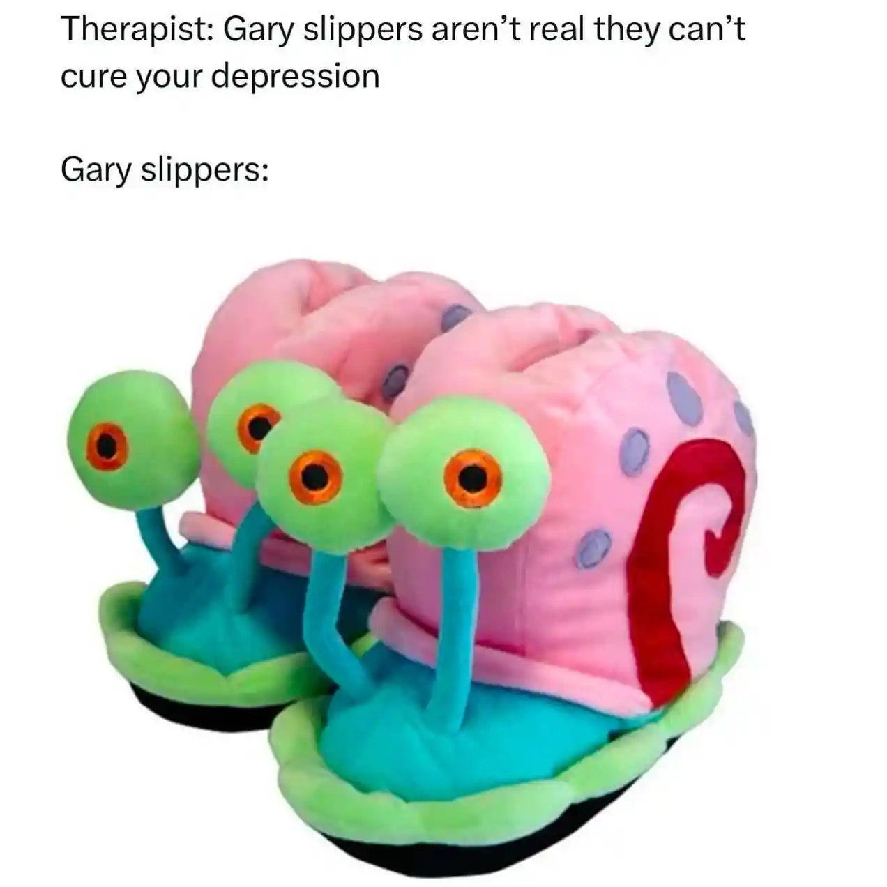 Gary slippers meme cure your depression