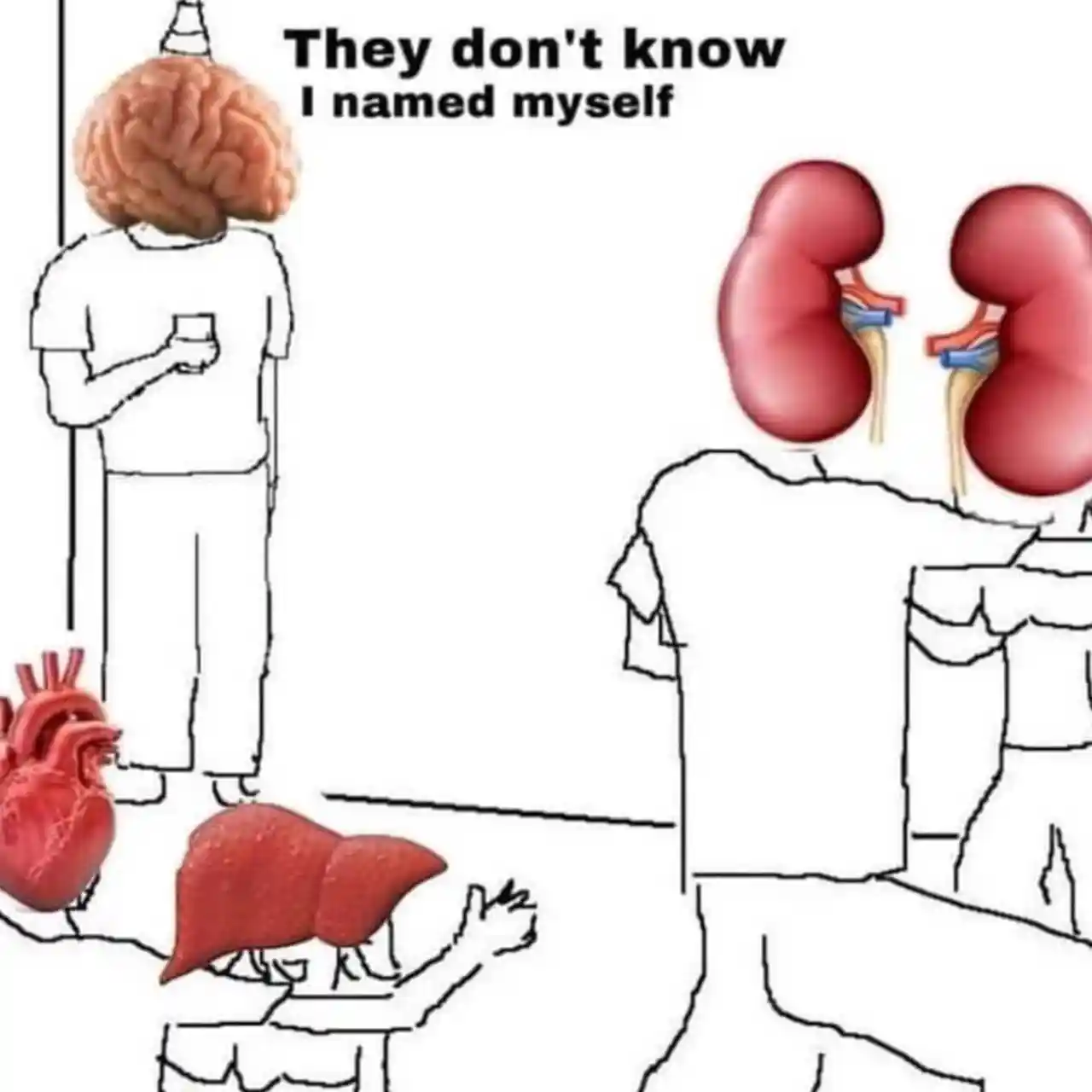 They do not know meme I named myself