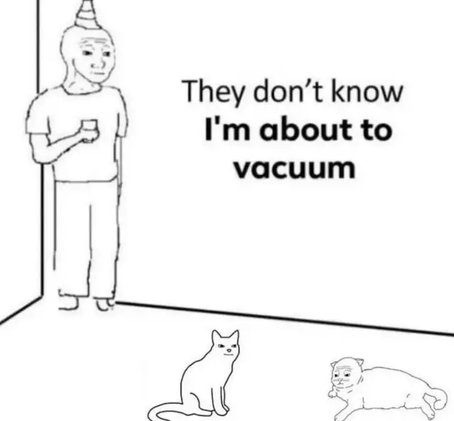 They don't know meme about to vacuum cats