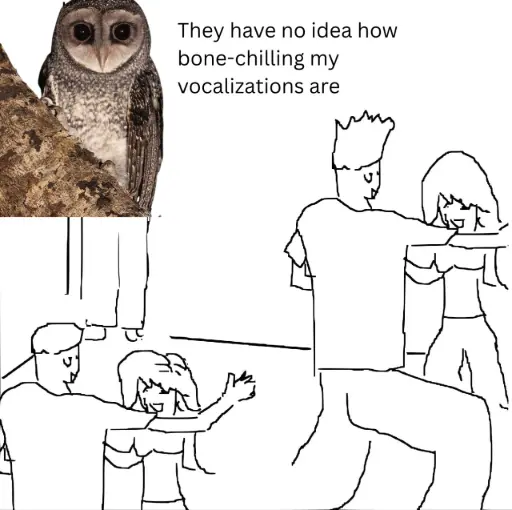 They don't know meme owl watches couples unaware of chilling calls