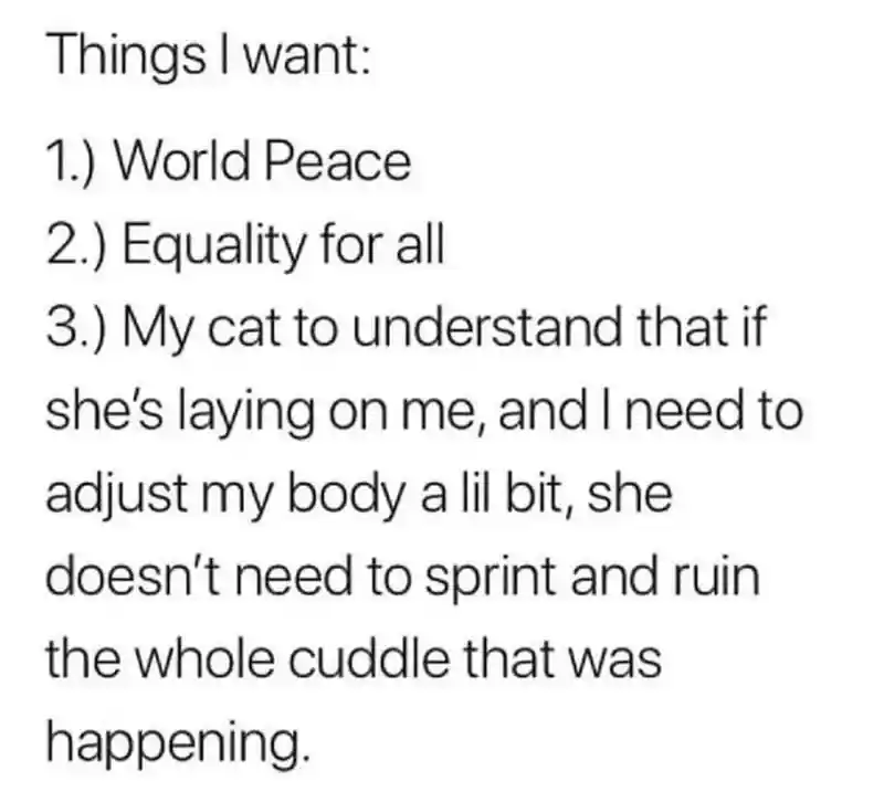 Cat owner meme hate cat ruining cuddles