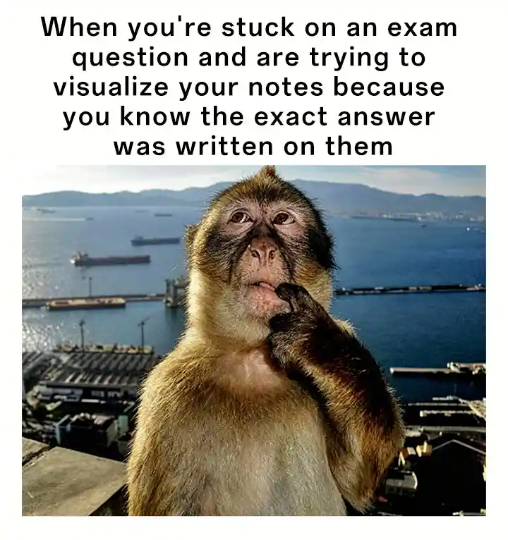 Thinking monkey meme acts confused when caught cheating