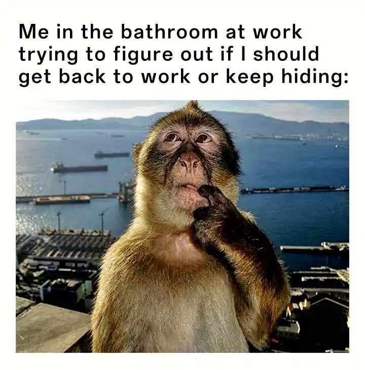 Thinking monkey meme choosing hide or go back to work