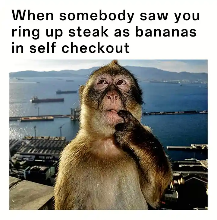 Thinking monkey meme caught ringing steak as bananas at self checkout