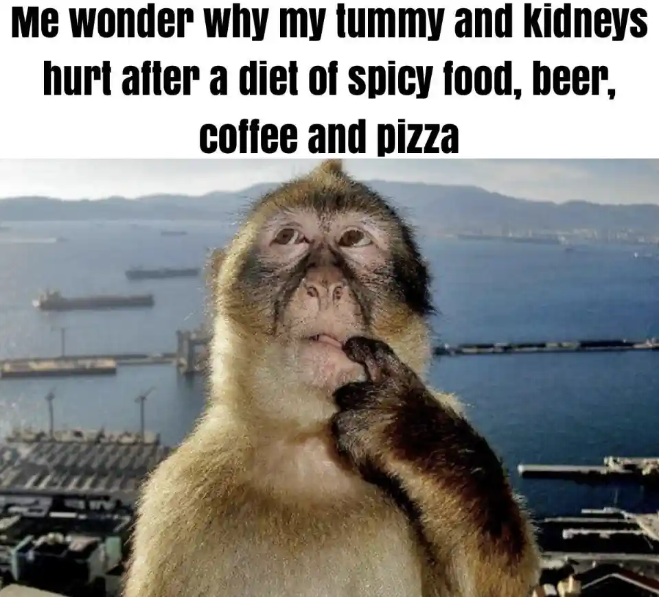 Thinking monkey meme confused about post bad diet body ache