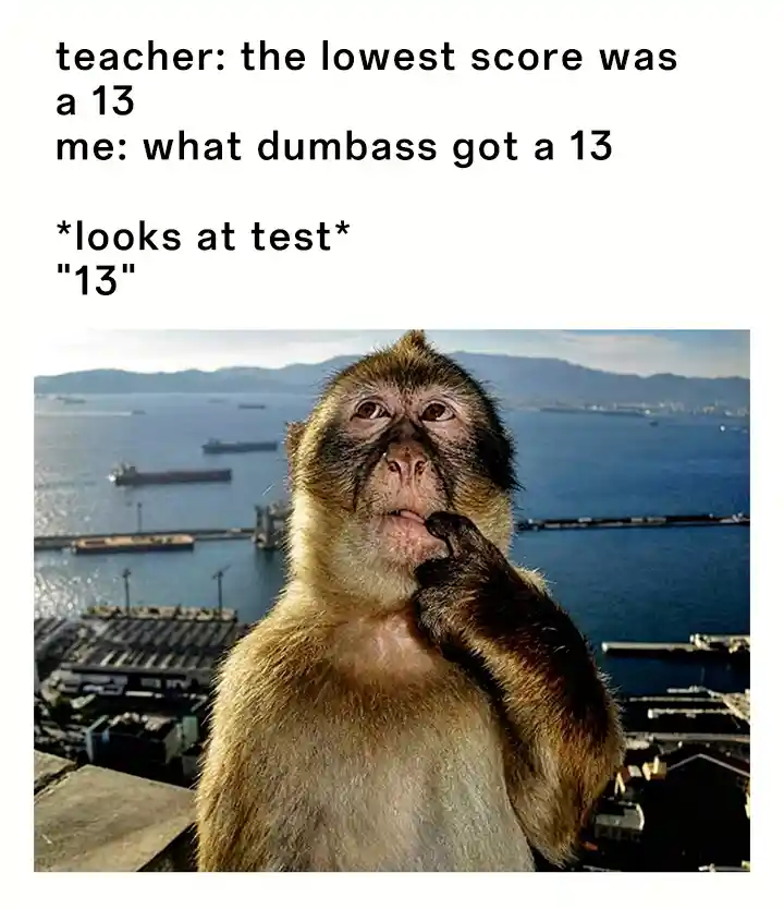 Thinking monkey meme know he got 13 test