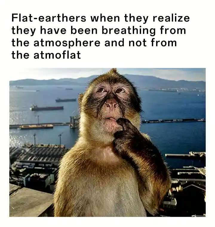 Thinking monkey meme flat earther atmoflat pun