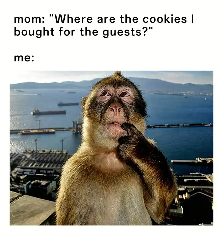 Thinking monkey meme confused after eating cookies