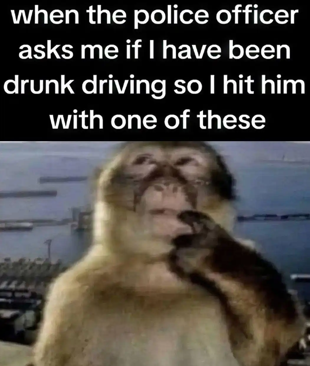 Thinking monkey meme hit cop over dui