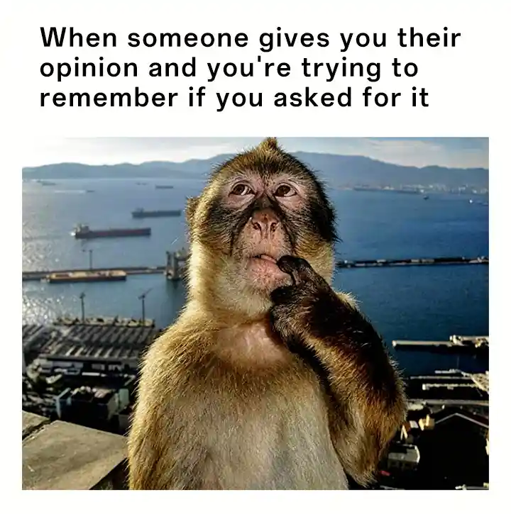 Thinking monkey meme confused by unasked opinion