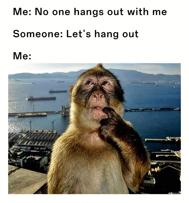 Thinking monkey meme confused at invite