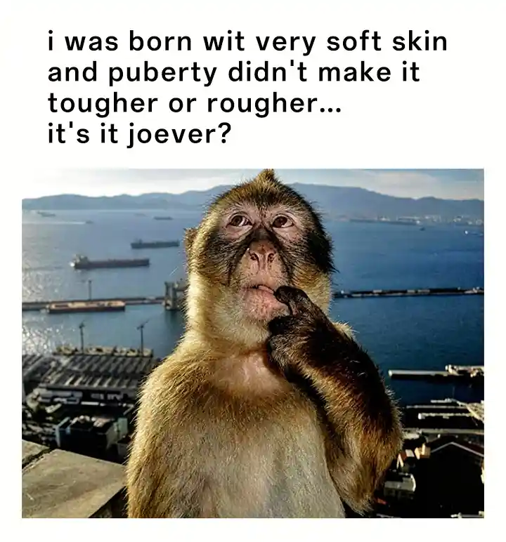 Thinking monkey meme wondering soft skin joever