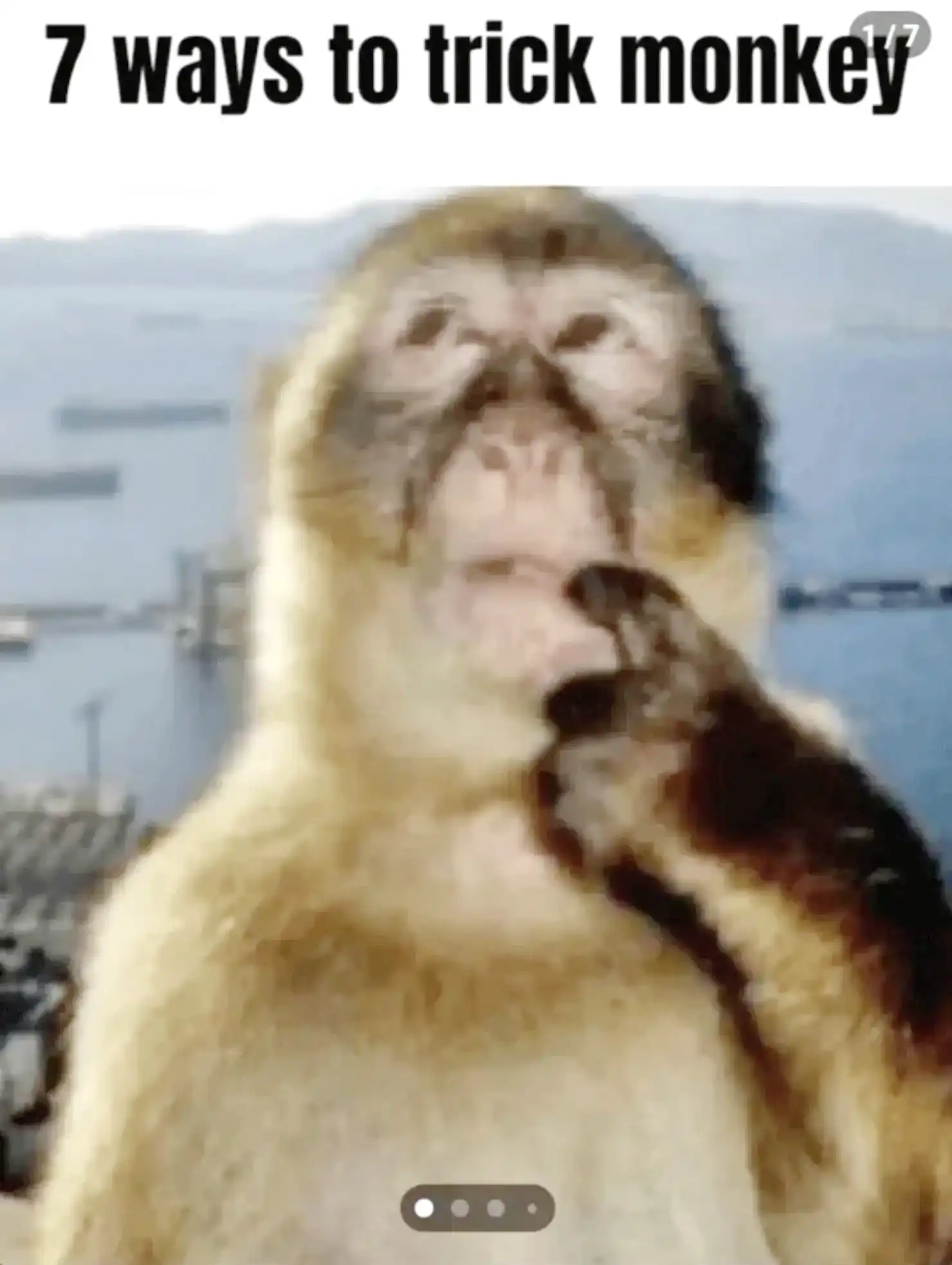 Thinking monkey meme tricked by 7 ways