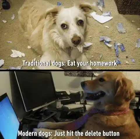 Dogs eat homework meme hit delete button