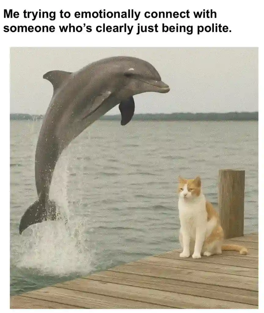 Dolphin cat meme trying to bond politely