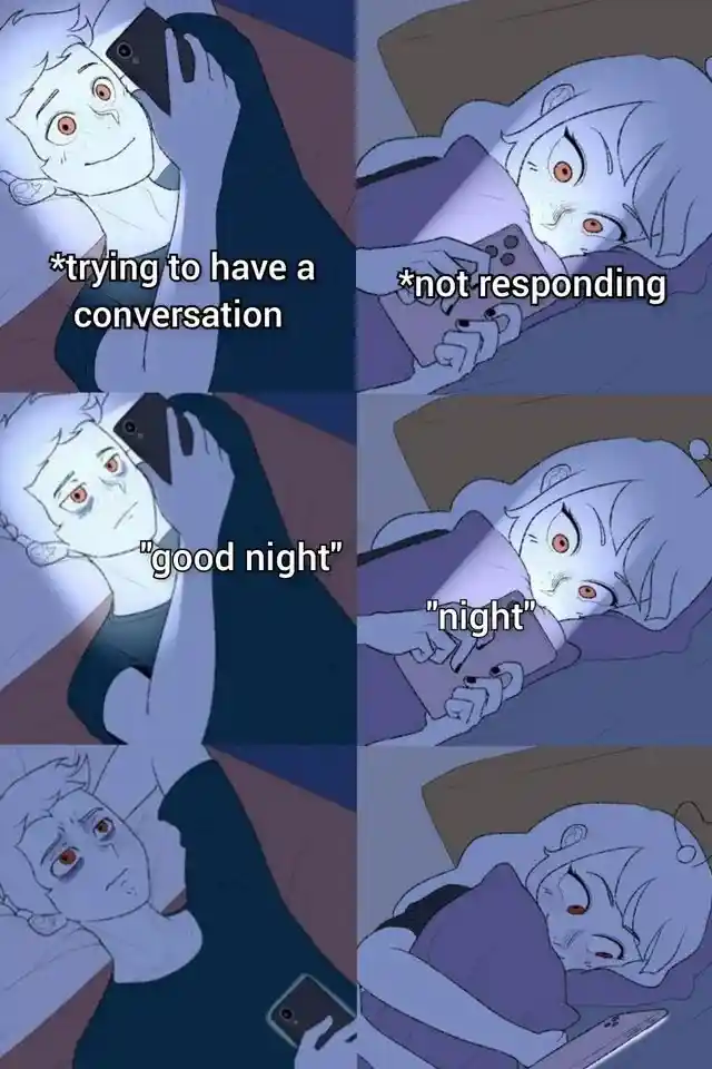 Texting good night meme gets sad short reply