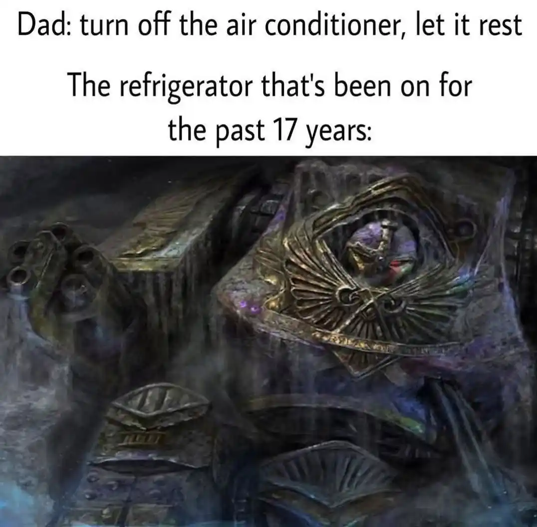 Fridge meme runs 17 years nonstop