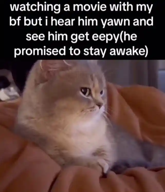 Sleepy bf movie meme unamused reaction
