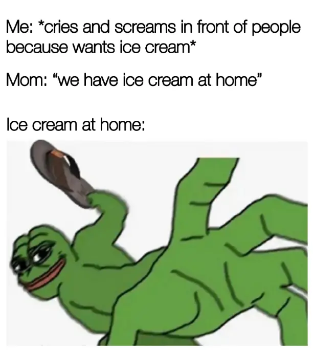 Ice cream at home meme holding slipper
