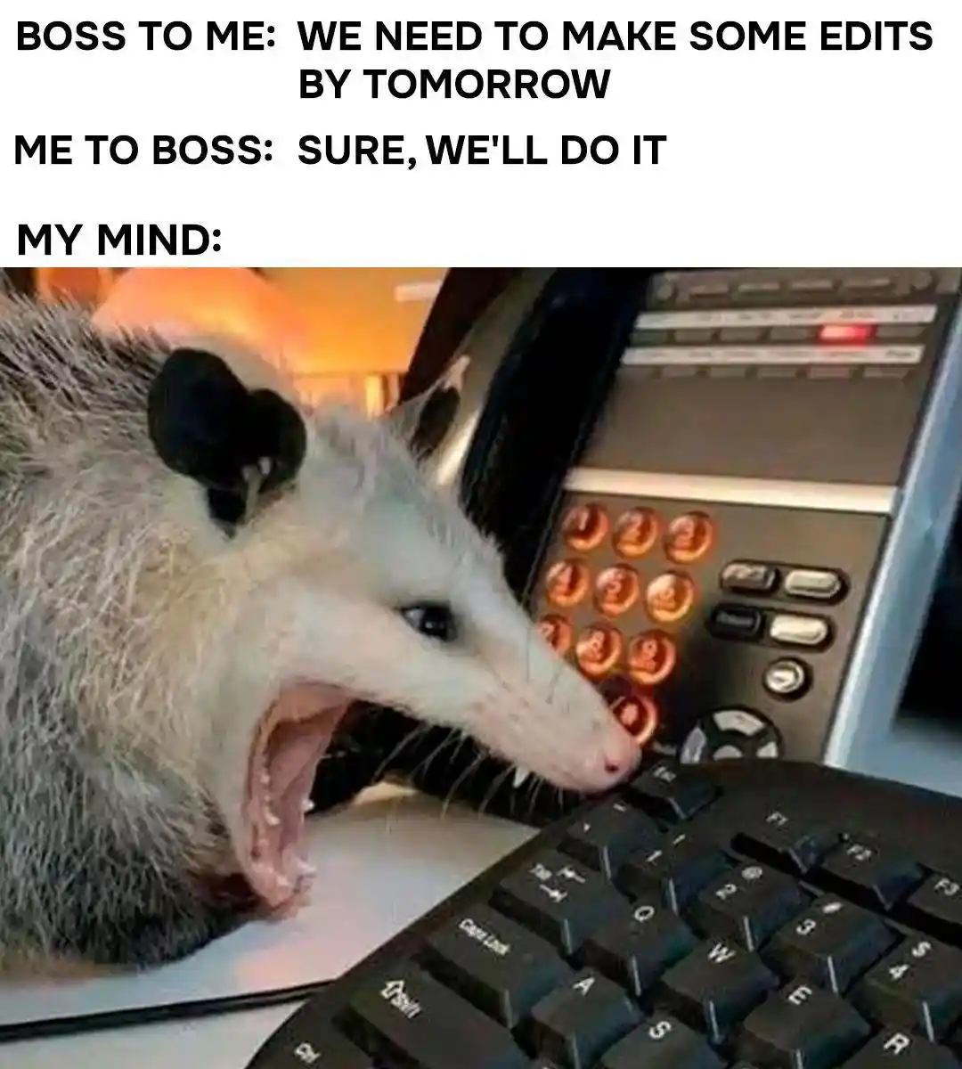 Boss edit request meme stressed at work