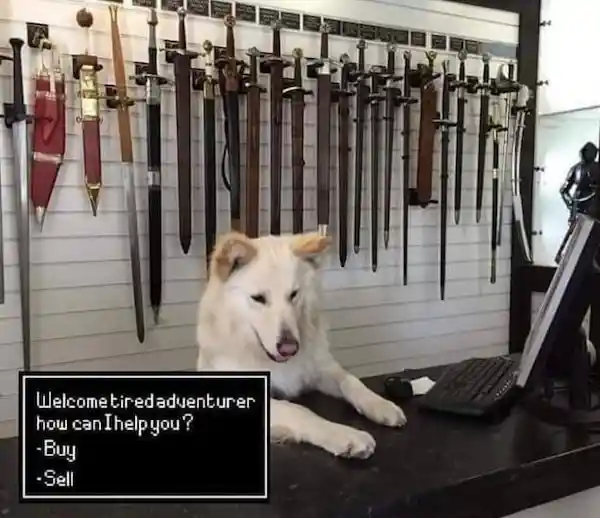 Weapon shop dog meme greets tired player